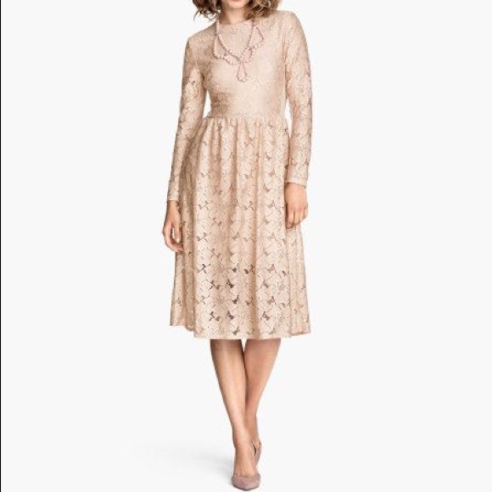 HM  blush lace midi dress